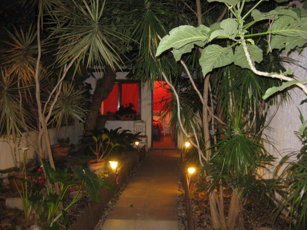 Hostal Las Acacias مالقة المظهر الخارجي الصورة